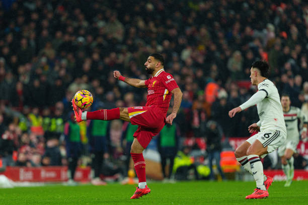 示了他们的 示了他们的